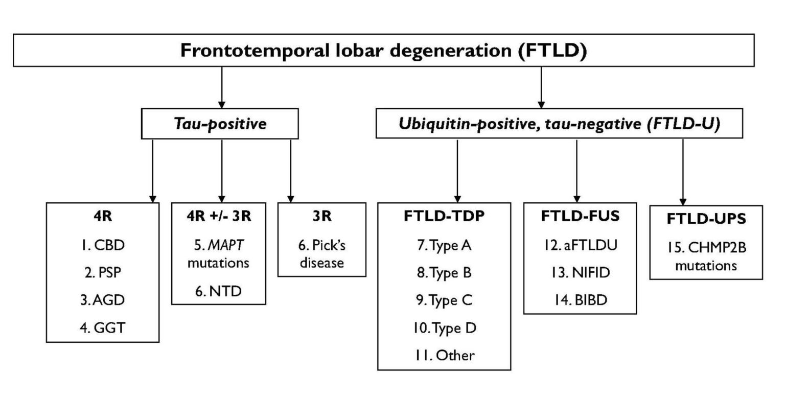 Pathology FTD Talk